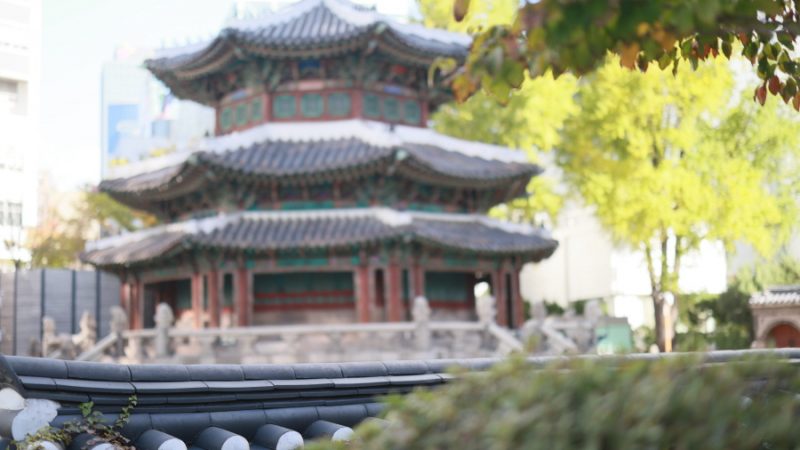 더플라자 칠순스냅 출장사진 팔순 돌 영상제작 환구단