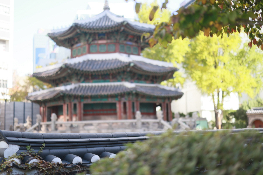 더플라자 칠순스냅 출장사진 팔순 돌 영상제작 환구단