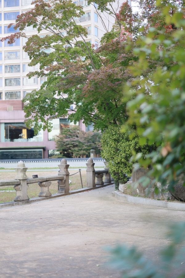 더플라자 칠순스냅 출장사진 팔순 돌 영상제작 환구단