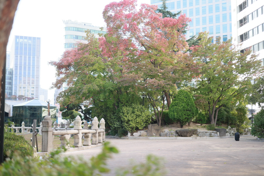 더플라자 칠순스냅 출장사진 영상제작 환구단