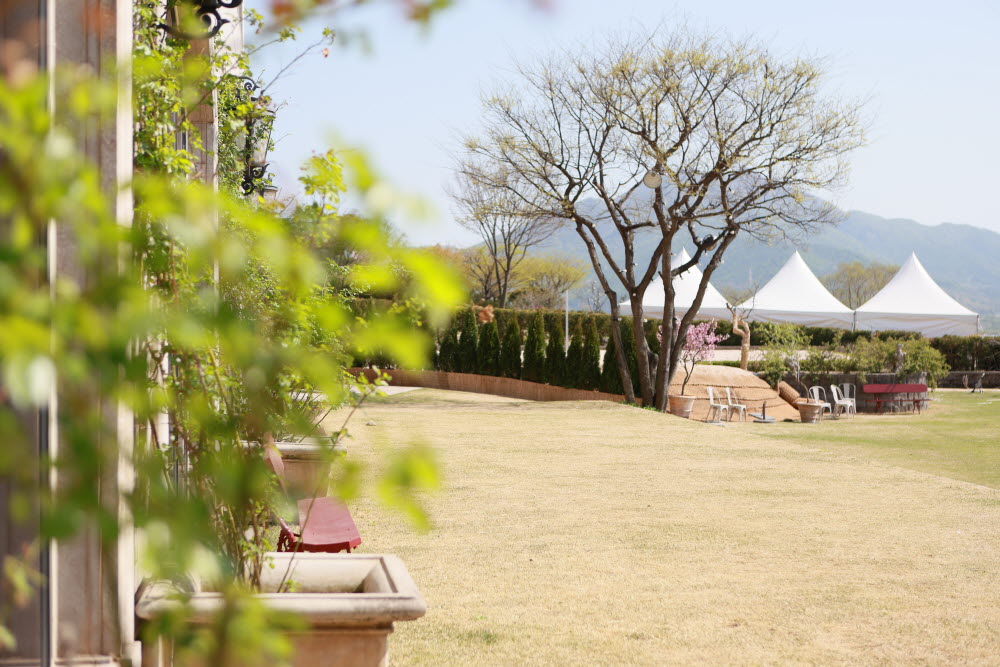 프라움레스토랑 팔순잔치 야외파티 출장가족사진5