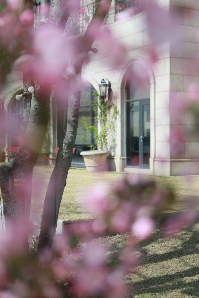 프라움레스토랑 팔순잔치 야외파티 출장가족사진6