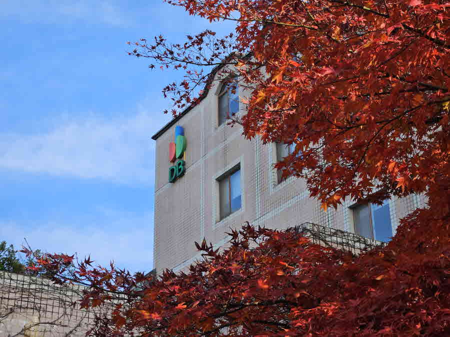 DB손해보험자동차 출장사진 영상제작 행사촬영