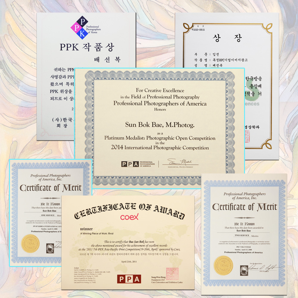 수상증 플래티넘 ppa마스터디그리 배선복사진영상작가 자격증과 수료증 포창장